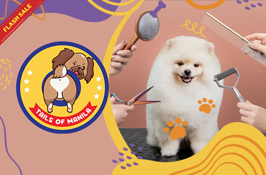 Luxury Grooming for Dogs