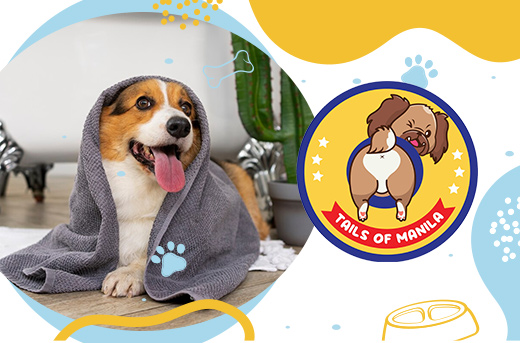 Home Service: Luxury Grooming for Dogs