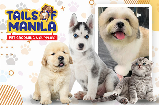 Deluxe, Premium, or Luxury pet Grooming Service
